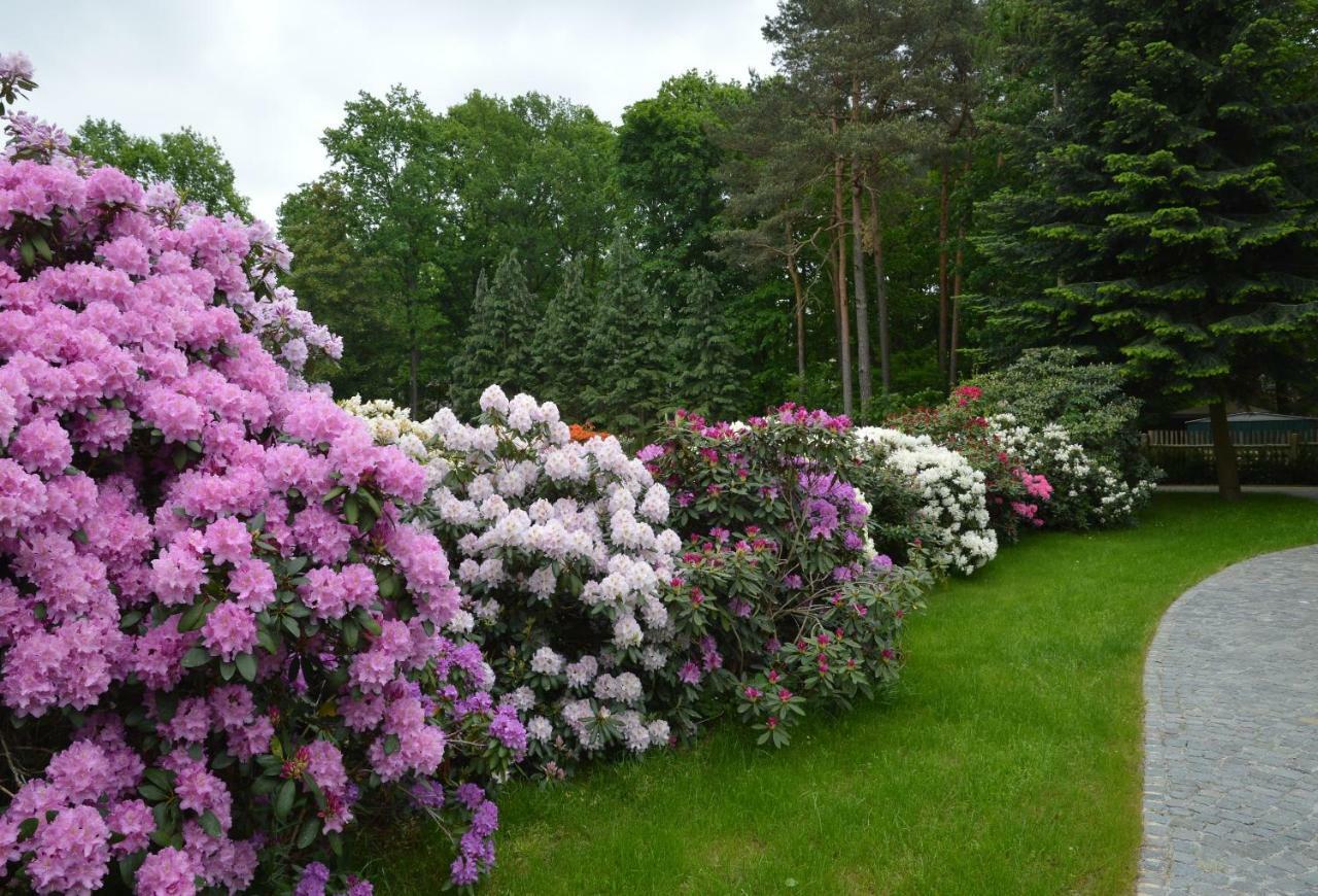 Ferienquartier Goethe33 Villa Drezda Kültér fotó
